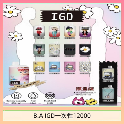 B.A IGD12000口 電子煙
