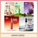梟客XIAOKE一次性電子菸拋棄式8500口